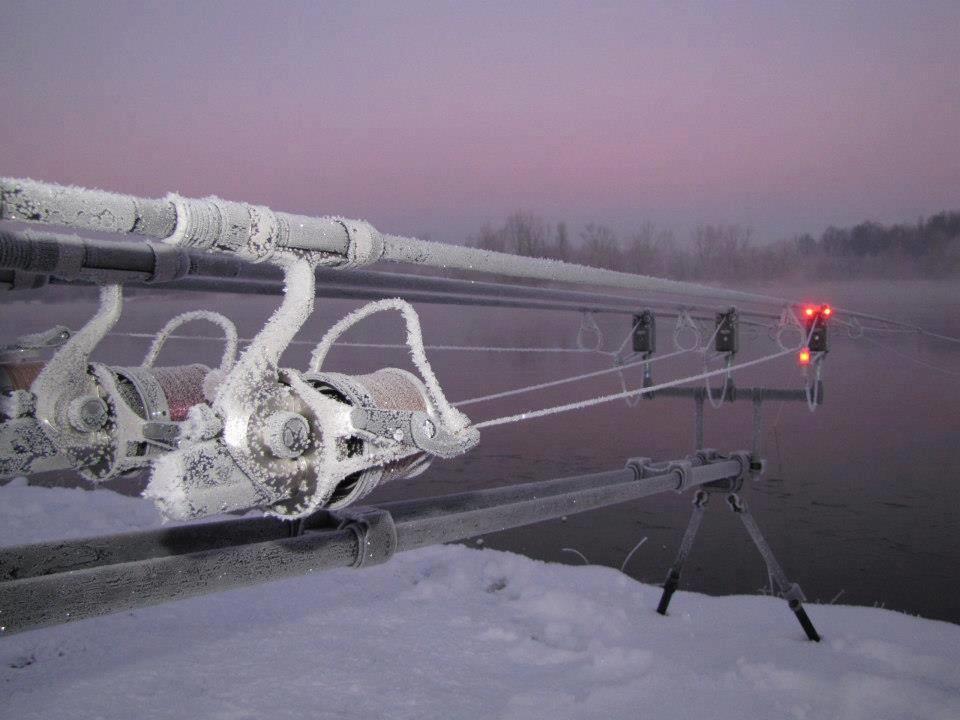 Carp Fishing - 1472874446243988808469575017639n.jpg